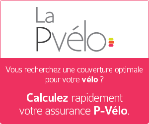 Aedes Vélo – 300×250